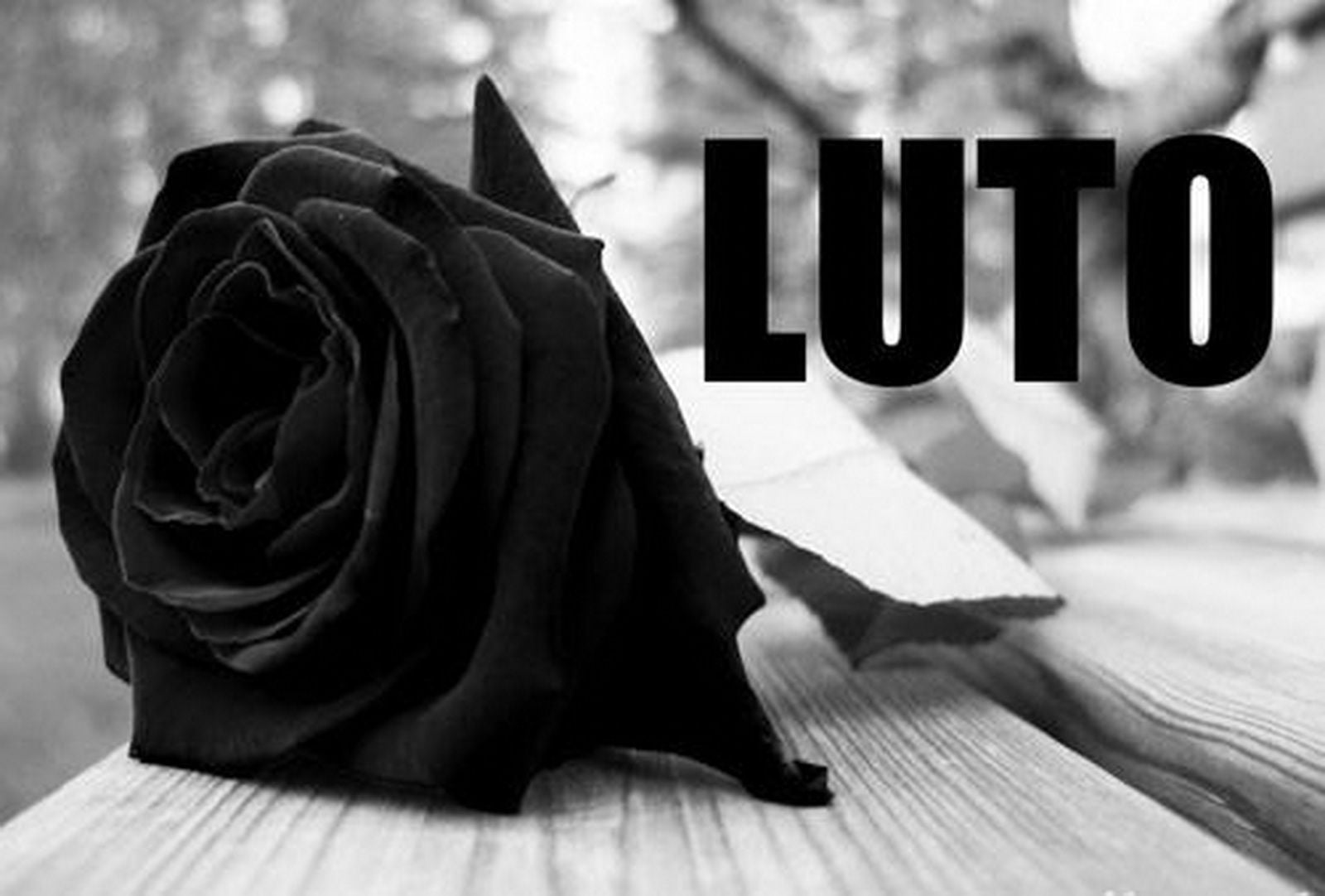 Luto – Faculdade Santa Luzia